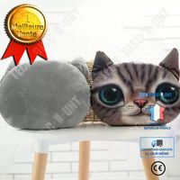TD® Drôle 3D Cat Imprimer Coussin mignon poupée en peluche cadeau Maison Décoration