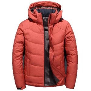 doudoune homme duvet canard