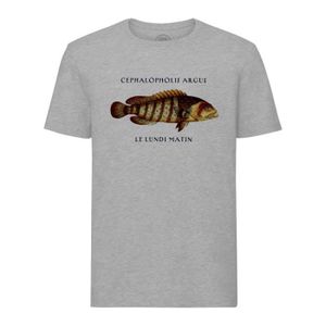 T-SHIRT T-shirt Homme Col Rond Gris Cephalopholis Argus le lundi matin Planche Biologie Illustration