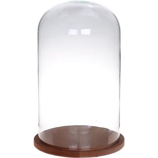 INNA-Glas Cloche en Verre HELVIN avec Socle en Bois, Transparent, 38cm, Ø22cm - Bocal en Verre-Cloche décorative