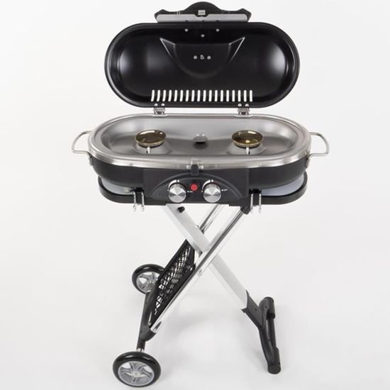 Barbecue À Gaz À Roulettes 50 Mbar Allumage Piézo 2 Plaques De Cuisson — free download
