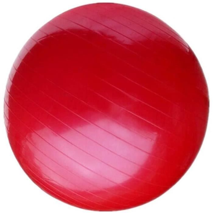 75 cm Ballon Gym Ballon Yoga Ballon Grossesse Ballon Fitness Epais Swiss Ball Bureau pour Pilates Sport Exercice, Sport Maison 1090