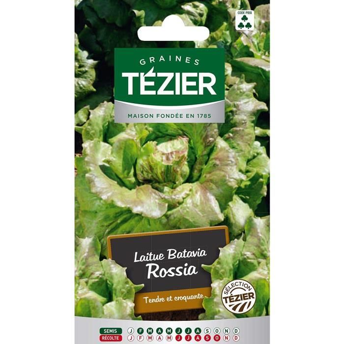 Sachet Graines - Tezier - Laitue Batavia Rossia sélection Tézier (G.B.) - Sachet légume petit modèle - (Mois de semis de 2 à 8)