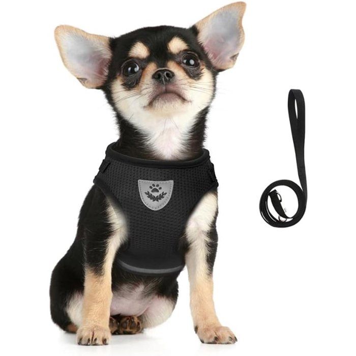 Comparer les prix de Harnais Respirant pour Chats et Petits Chiens Réfléchissant et Adjustable Léger et Confortable - Noir Taille XS