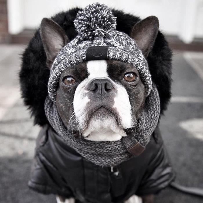 Casquette-snood,Chapeau d'hiver chaud pour chien,petit,moyen
