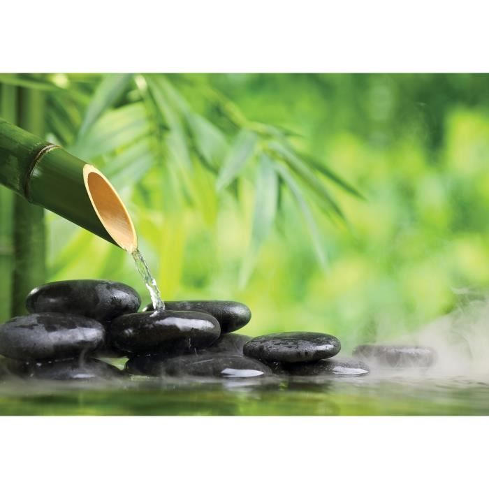 Papier Peint Photo Intisse 11407v8t Zen Pierres 368x254cm 8 Les Mural Poster Geant Xxl Mer Beach Mer Ocean Nature Jungle Foret Cdiscount Bricolage