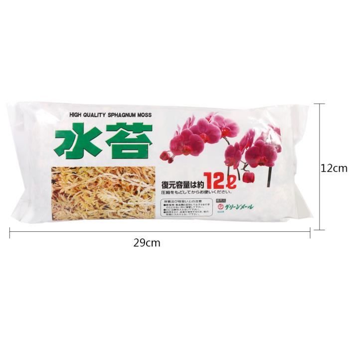 pour Plantes dintérieur Jardinage pour Plantes dextérieur à la Maison Mousse dorchidée Mousse deau de terreau pour orchidées Mousse de sphaigne pour Plantes dintérieur Jardinage pour Plantes dextérieur à la Maison Mousse dorchidée Mousse deau de terreau pour orchidées Mousse de sphaigne