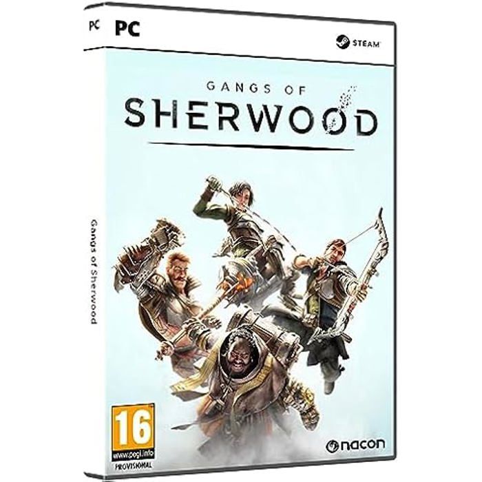 Gangs of Sherwood PC - vue 4
