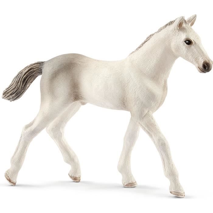 Figurine Poulain Holstein - SCHLEICH - 13860 - Pour les jeux éducatifs et les épreuves de saut