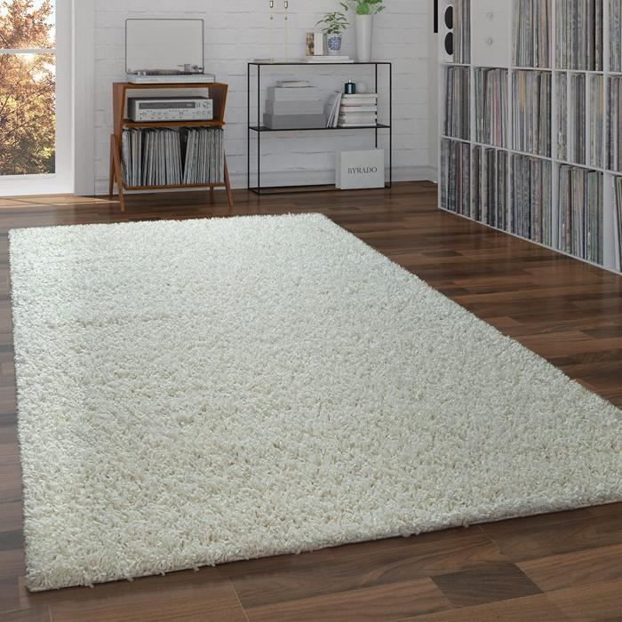 LIVABLISS Tapis de Salon à Poils Longs Doux Shaggy Bohème LILO