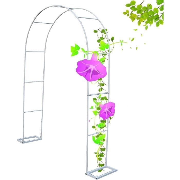 Arche Jardin Métal Demi-Arche Pour Rosiers Et Plantes Grimpantes - Résistante Intempéries Noir