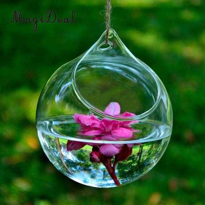 Vase en verre suspendu grand terrarium avec cadre pour plantes à air -  Cdiscount Maison
