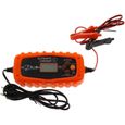 Chargeur électronique - XLPT - 553986 - Contrôle de charge, arrêt et maintien de charge 100% automatique-0