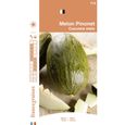France Graines - Melon Pinonet-0