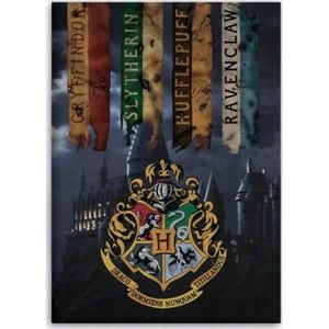 Harry Potter Poudlard Maison Bannières - Drapeaux de fête à la maison  Collection complète de 5 pièces - Cdiscount Maison