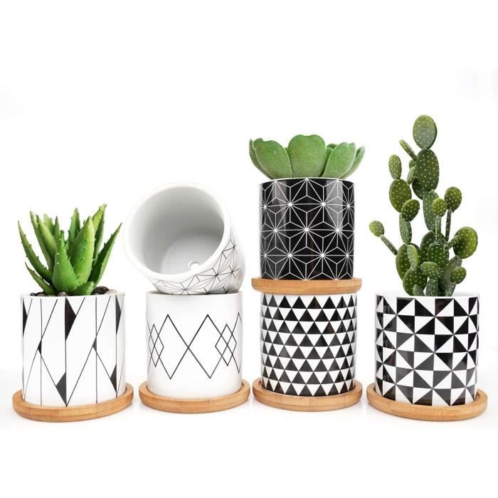 ONEHAUS Lot de 6 mini pots de fleurs-plantes grasses, avec mini coupelle en bambou, 7,3 cm, pour jardin-balcon-bureau-anniversai460