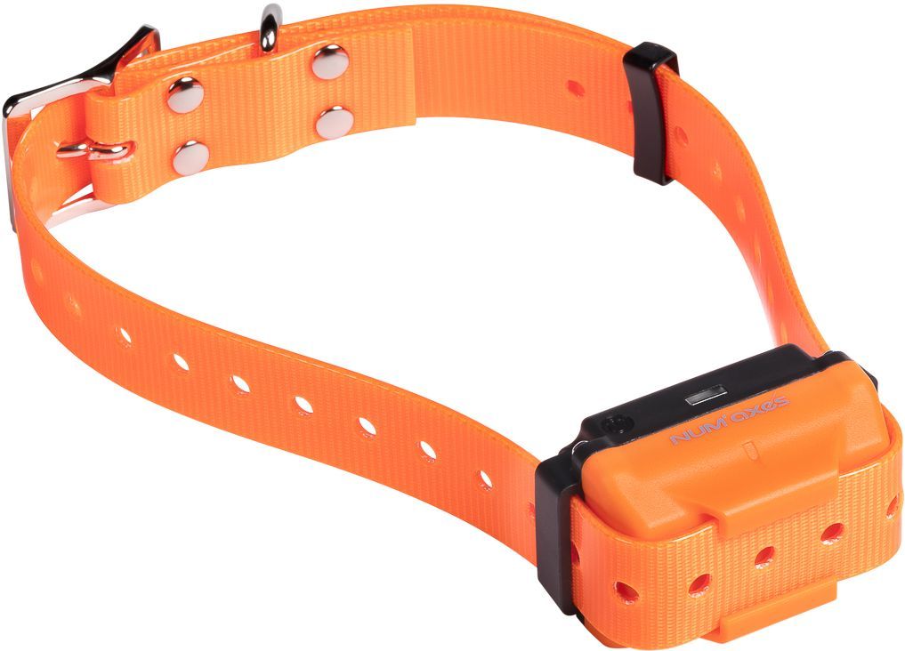 Meilleurs prix pour Canicom R - COLLIER DE DRESSAGE POUR CHIEN RECHARGEABLE NUM'AXES sangle orange