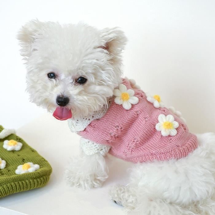 (S)Pull classique tricoté pour animaux de compagnie couleur douce vêtements pour petits chiens veste dhiver du nouvel an sans m