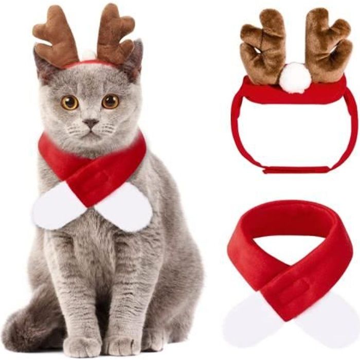 Tenue de noel pour hotsell chat