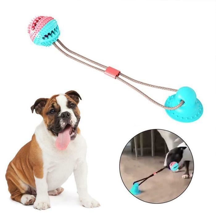 Jouet pour chien ventouse au sol Clearance