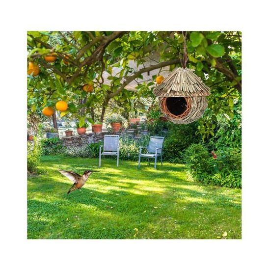 Générique ?Colibri - Maison pour colibris à Suspendre à l'extérieur,Mini  Maison d'oiseau, Maison d'oiseau en Bois pour décor Jardin extérieur