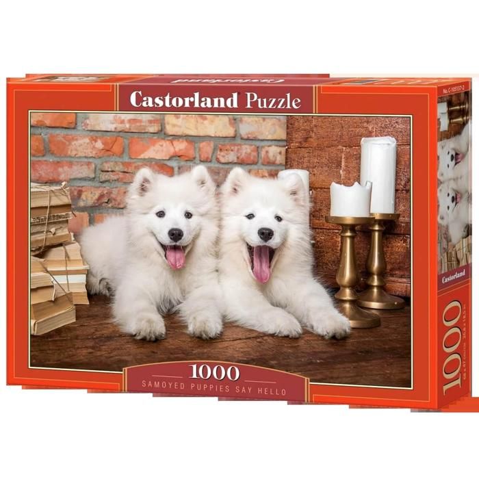 Castorland Puzzle 1000 Teile – „Premier Amour“ – Hochwertiges Puzzle, Hergestellt In Polen, Ab 12 Jahren