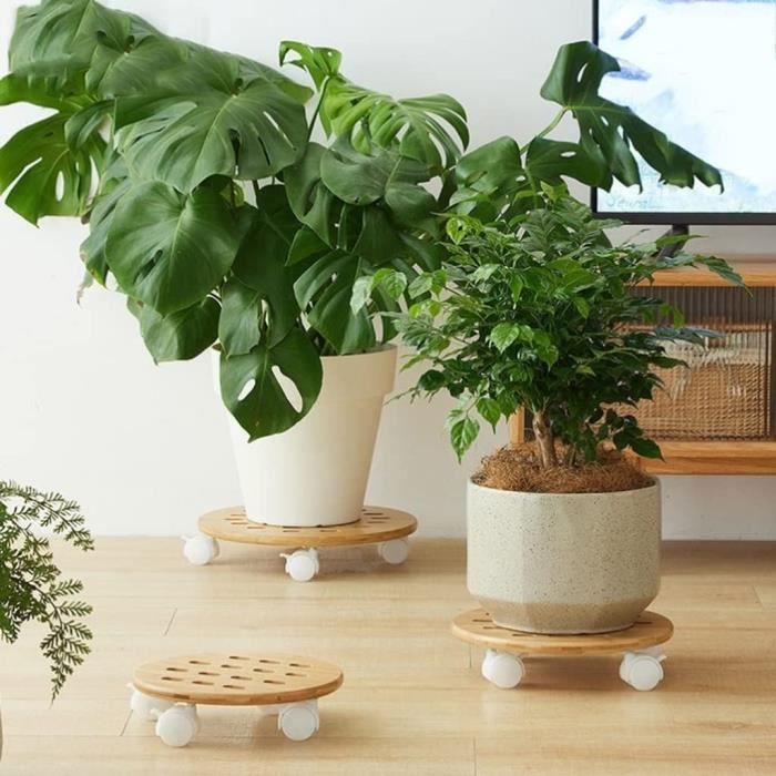 Support pour plantes, chariot de jardin, chariot pour pots de fleurs en ciment, robuste, support