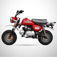 Mini Moto - MONKEY 50 - Rouge - SKYTEAM-3