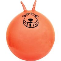 Ballon sauteur pour adulte, cadeau fun sur logeekdesign Ballon Sauteur 61 cm Unique