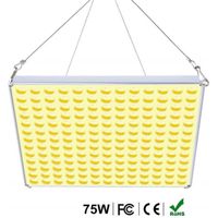 NetBoat Lampe Plante LED, Lampe de Croissance Horticole, 75W, 169 LEDs, Spectre Complet, pour Plantes Intérieur, Semis, Croissance