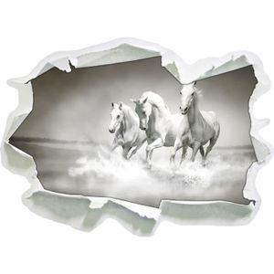 Vinyle cheval autocollant mural art autocollant mur meuble véhicule 5000018 Vinyle cheval autocollant mural art autocollant mur meuble véhicule 5000018