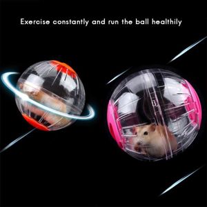 ROUE - BOULE D'EXERCICE Zerodis Balle de Fitness Hamster Mini Transparente en Plastique, Jouet d'Entraînement pour Animaux de Compagnie