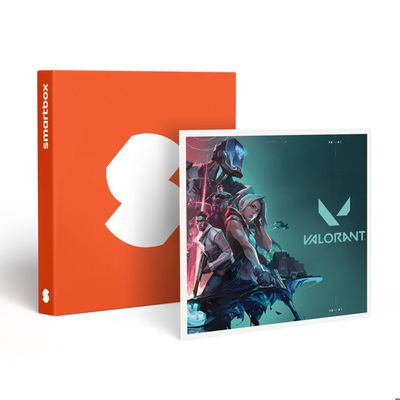 Cofet cadeau SmartBox Pilote d'un jour - Cofet cadeau | fnac Belgique