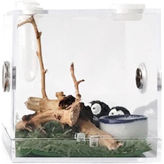 Aquarium Boîte d'alimentation Boîte d'élevage de petits reptiles Cage