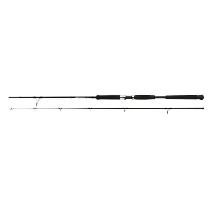 Canne spinning Shimano Beastmaster Pilk 40-95g - noir - 2,15 m