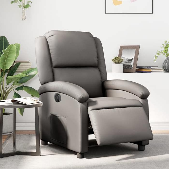 vidaXL Fauteuil Inclinable Électrique Chaise de Relaxation avec Dossier et Repose-pied Réglables Siège de Salon Salle de 3204257