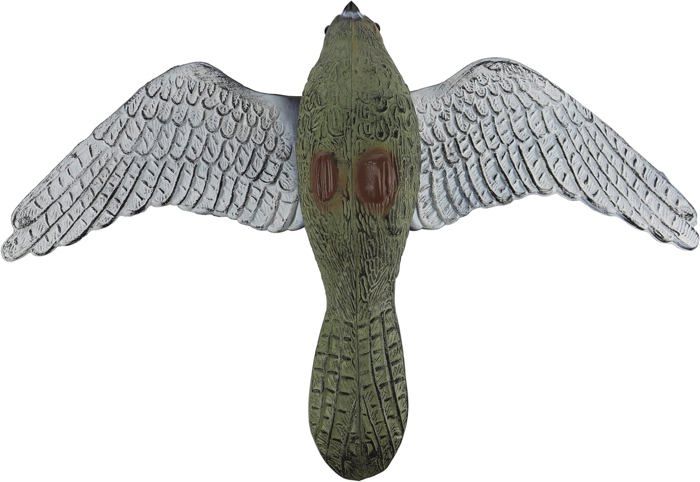 Leurre Faucon Effraie Biotop 52 Cm - Épouvantail Anti-Oiseaux Pour Jardin Et Balcon - Protection Des Cultures