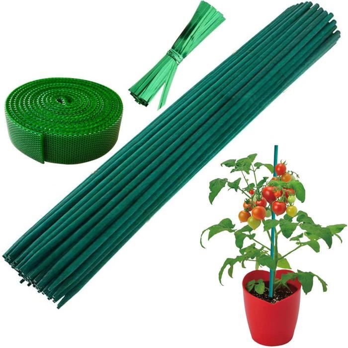 Tuteurs Pour Plantes (10 Pcs) - Serre De Jardin