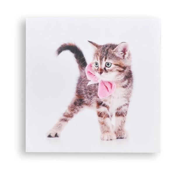 Cadre Toile Chat Chaton Chic A Achat Vente Tableau Toile Cdiscount Cadre Toile Chat Chaton Chic A Achat Vente Tableau Toile Cdiscount
