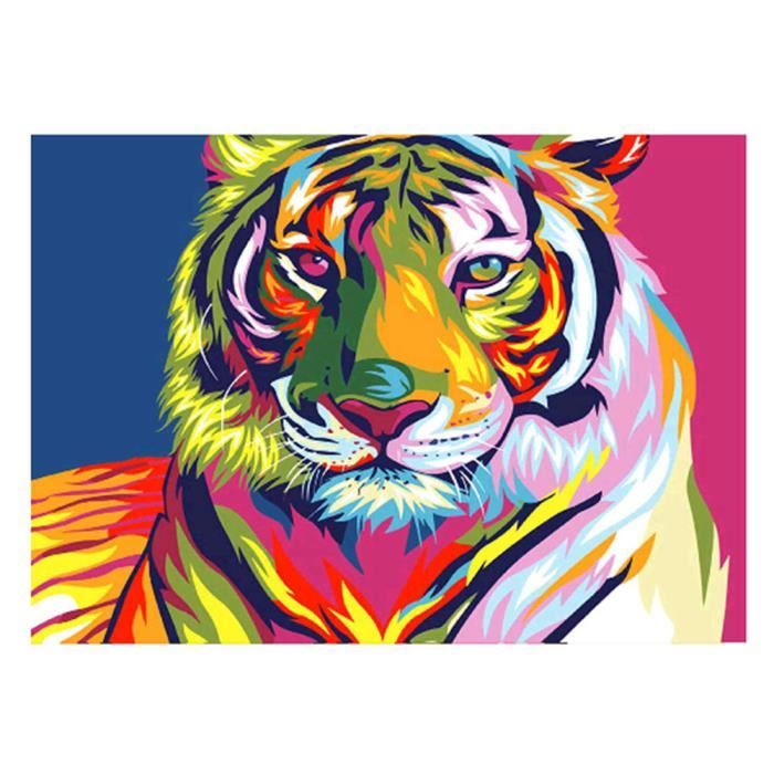 Multicolore Tigre Peinture Au Diamant 5d Tableau Decoratif 40 30cm Achat Vente Tableau Toile Cdiscount