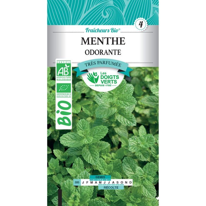 Graines menthe odorante BIO Les Doigts Verts