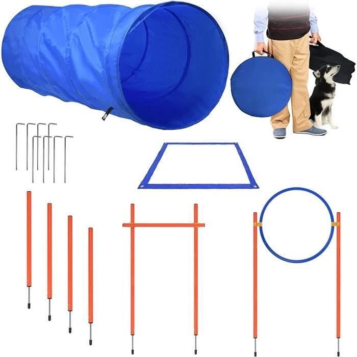 Équipement dentraînement pour chiens - NAIZY - Agility Sport - Kit complet - Bleu & Orange - Matériau renforcé