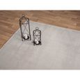 Tapis pour le salon ou la chambre en sable 80x300 cm | Rectangulaire | Lavable jusqu'à 30 degrés | Tapis LOFT de The Carpet-1