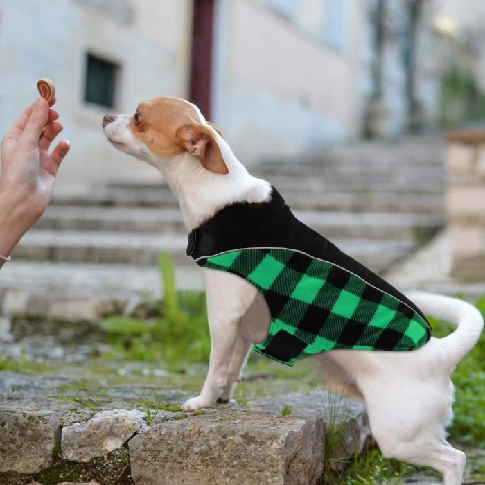 Manteaux D hiver Pour Chiens Cit toile Manteau Chien Imperm able