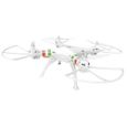 Drone Takara Whitebird DMS225 + Mini Drone De Test-0