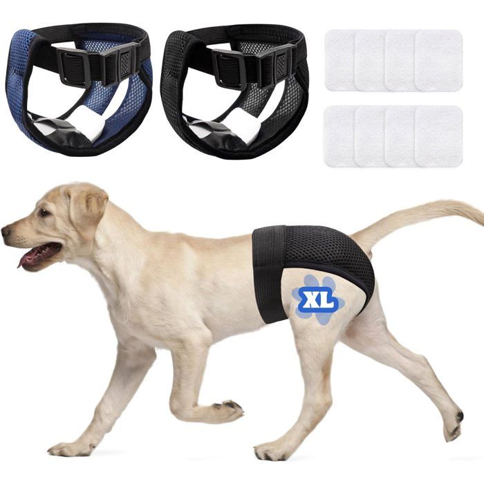 Culotte menstruelle pour chienne - VETOBIOL - Lot de 2 culottes - 8 serviettes hygiéniques incluses - Taille XL