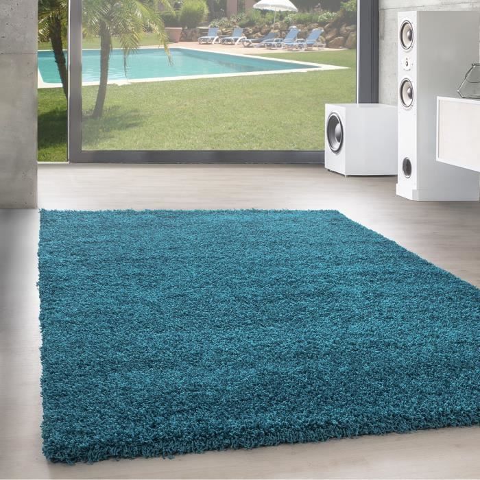 Haute fleuri  tapis  Shaggy Uni un salon  de couleur 