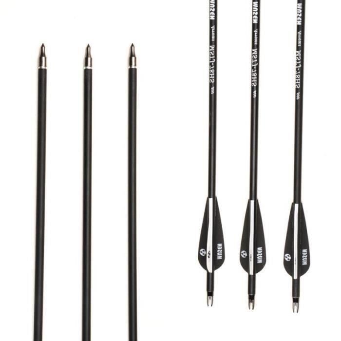 12 Flèches Carbone 20 Pouces – Spine 300, Pointe Changeante, Plumes – Chasse à L'arc