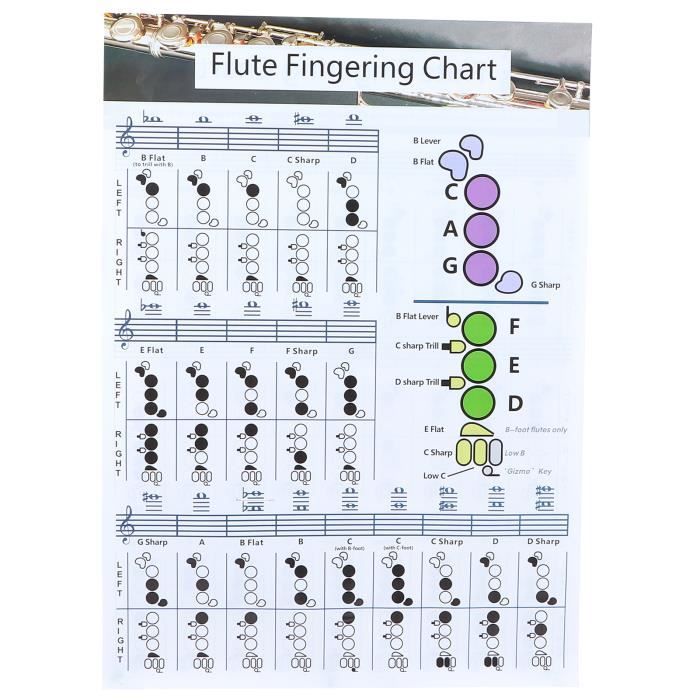 Doigtage Et Diagramme D'accords Pour Flûte Traversière Pratique Pour
