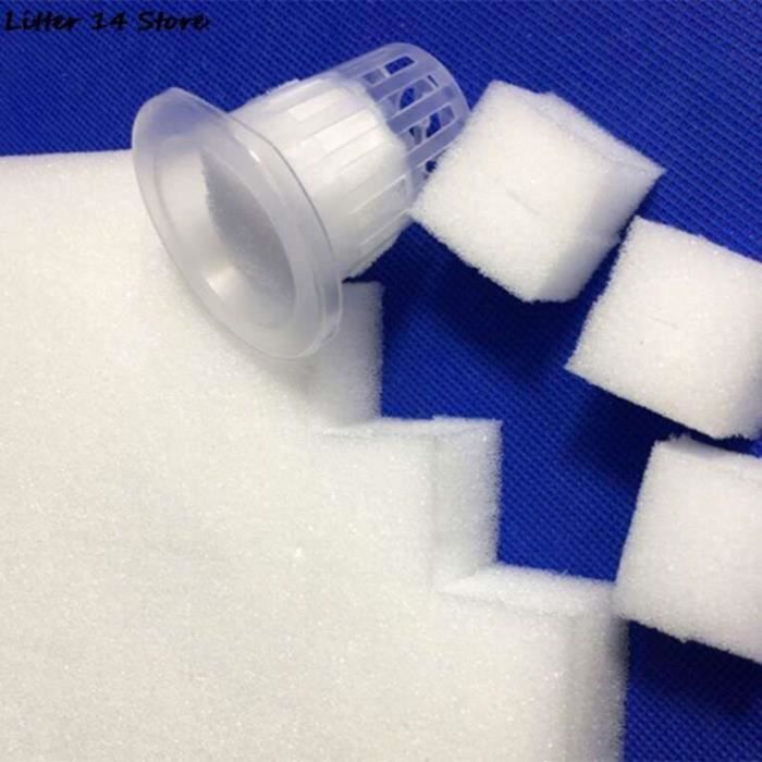 Éponges De Culture Pour Plantes Hydroponiques, Lot De 50